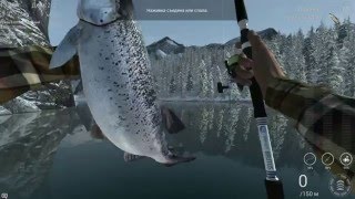 Fishing Planet. Альберта. Трофейный Атлантический Лосось