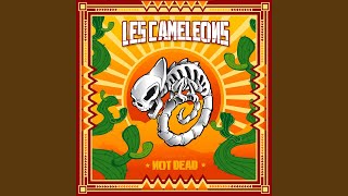 Je suis un con