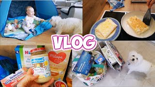 Рецепт вкусного ЗАВТРАКА Мальтезе Джек разозлился Эвелина моет пол Покупки DM