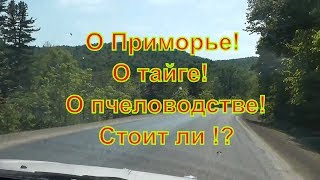 По дороге о Приморье, о тайге, о пчеловодстве, о пасеке!