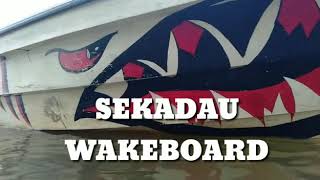 Wakeboard boat
