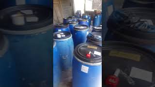 Grosir Madu Asli