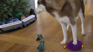 PAWSOME TOY!