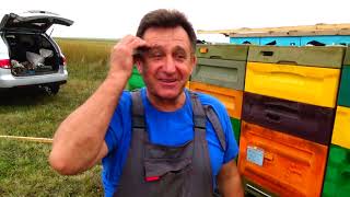 Кочёвка не удалась но опыт прибавился