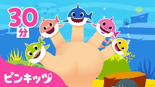 サメかぞくのゆびあそび☆ | ベイビーシャーク どこかな？ | ゆびのうた | サメのかぞく | 童謡 | 子供向け動画 | ピンキッツPINKFONG