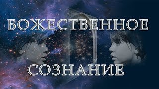 Всегда будем принимать вашу форму. Божественное сознание. Тринити Тан