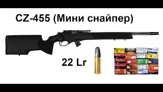 CZ 455 22lr (Мини снайпер). Стрельба разными патронами.