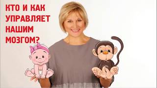 Ольга Бутакова Вебинар Как мозг управляет нами