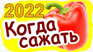 Когда сажать Перец на рассаду в 2019 году