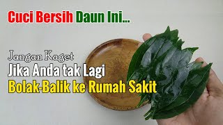 CUMA PAKAI INI, ANDA BISA MENUKAR DAUN INI DENGAN BIAYA KE R.S YANG DIKELUARKAN SETIAP WAKTU