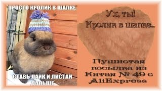 Ух, ты! Кролик в шапке... Пушистая посылка из Китая № 49
