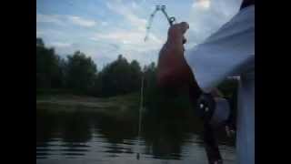 catfish fishing silurus glanis γουλιανος