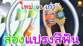 แปรงสีฟันใหม่ vs แปรงสีฟันเก่า | ส่องกล้องจุลทรรศน์สนุกๆ
