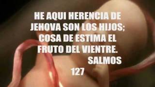 Canción para mi bebe - Yo te prometo - Alexis Peña