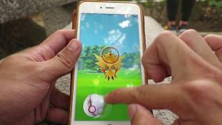Pokémon GO Zapdos Raids & Catches