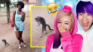 The Funniest Animal Photobombs Ever!