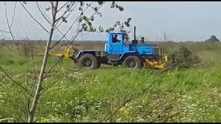 Выкорчевывание деревьев и мелколесья трактором