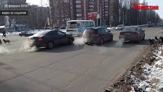 Курск. Собачьи бои посреди дороги