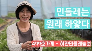 '하얀민들레농원' 가게방문