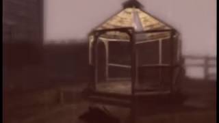 call of cthulhu ~ Родичи сектанты  ~ 1