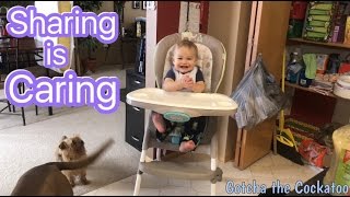 Oliver learns that sharing is caring! Lol