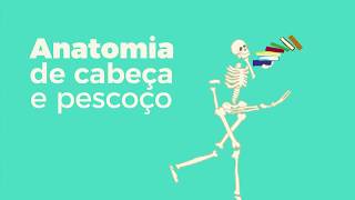 Aula 5 - Cavidade nasal - Conchas e meatos nasais