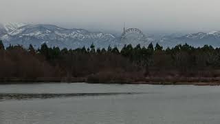 31 01 2021 СЛИЯНИЕ рек НАТАНЕБИ и ЧОЛОКИ у моря ВИДЕО Артур Мартиросян Шекветили Грузия