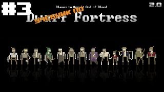 Учебник по Dwarf Fortress v 2.0 #3 - Работай, Урист, солнце еще высоко!