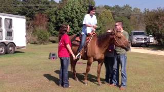 Hippo-Therapy by the UMMC OT Class of 2015