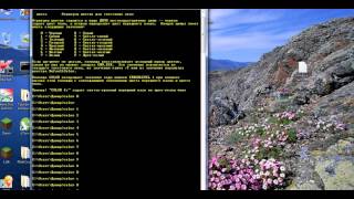 как поменять цвет в cmd