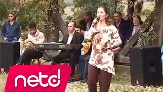 Damla Yıldırım - Güloğlan