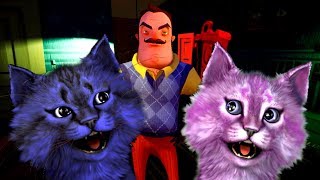 ПРИВЕТ СОСЕД БЕТА 3 НАЧАЛО hello neighbour Beta 3 КОШКА ЛАНА И КОТ ЛЕО играют вместе