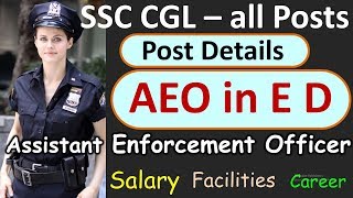 Assistant Enforcement Officer in ED Job Profile SSC CGL