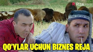 Akula Plus - Qo'ylar uchun biznes reja
