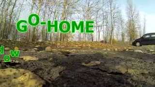 Go Home