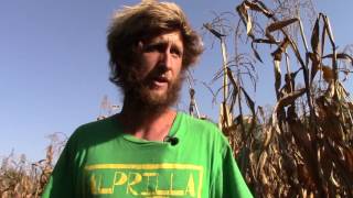 Alprilla Farm’s Crop Rotation: Biology, Not Chemistry