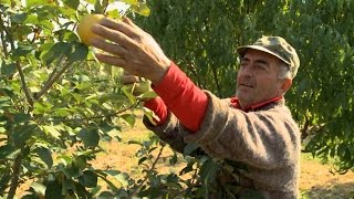 АРМЕНИЯ: ПЛОДОТВОРНОЕ ПАРТНЕРСТВО