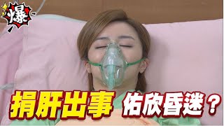 《多情大爆爆》多情城市 EP330 捐肝出事 佑欣昏迷？