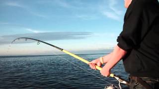 Isle Of Skye Common Skate Record Dan Bennett