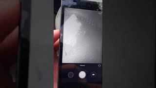 Xiaomi redrice hongmi мерцает экран