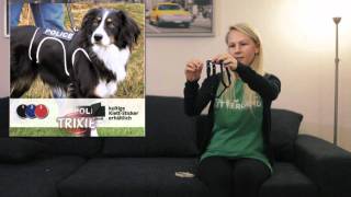Mehr Sicherheit dank Hunde-Sicherheitsgeschirr