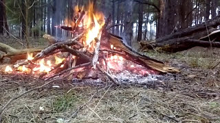 Релакс музыка. Звук костра. Пение птиц. RELAX MUSIC. MUSICA MEDITACION. MEDITATION MUSIC