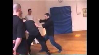 Вин Чун vs Стиль Тигра / Vin Chun vs Tiger