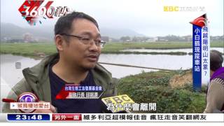 【3600秒】全球僅剩4千隻 小白鶴迷航台灣