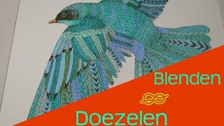 Tips om te Blenden / Doezelen ! vergroot de video, voor beter zicht ! ( Kleurvitality )