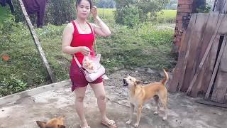 Kindly girl give the special food to funny puppies - How to play with smart puppy at home