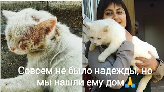 ЧУДЕСНОЕ СПАСЕНИЕ КОТА ОТ УЛИЧНОЙ МОРОЗНОЙ ЖИЗНИ