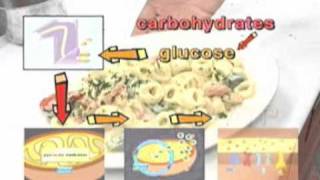 From Food to ATP