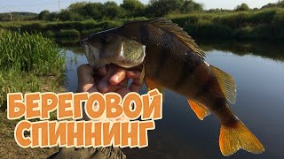 Рыбалка с берега на спиннинг когда все идет не по плану