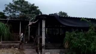 Li.ều Mình Trở Lại Vườn Nhãn Tuấn Khỉ Nghi Phạm B.ắn Ch.ế.t 4 Người